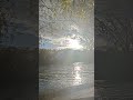solitude absolue partagez-la avec moi #nostalgia #music #humour #solitude #jul #nature #song #love