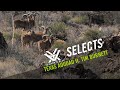 Texas Aoudad Rifle Hunt ft. Tim Burnett - SOLO HNTR | Vortex Selects