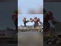 ウルトラマンが🔥最強のライバル:😂 #ウルトラマン #奥特曼#自ら実演 #おもしろ動画#弾丸回避 #神反応#特撮 #名シーン#笑いどころ満載 #爆笑瞬間#ショート動画 #話題の動画