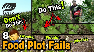 8 Common Food Plot Fails To Avoid