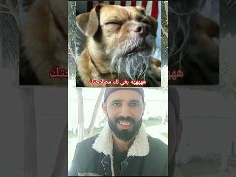 كلب بغي لك الخير هههههههه  اكسبلور  دويتو ضحك   كوميدي