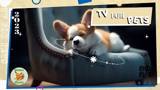 Nekko Music - 音楽で子犬の不安を和らげる: ペットの飼い主向けの新機能 | ペット用テレビ | 犬が退屈しないためのビデオ | 退屈な犬のための興味深いテレビ番組.