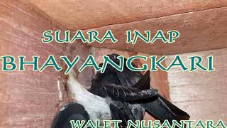 SUARA WALET KUSUS SUARA DALAM, SI.BHAYANGKARI