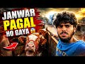 JANWAR PAGAL HO GAYA 😱 | janwar Laate Waqt Gali Mai Hungama
