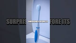 The Unlikely Creation of the Toilet Brush