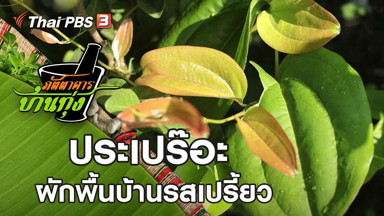 ประเปร๊อะ | ภัตตาคารบ้านทุ่ง