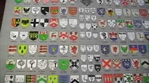 Irish Coats of Arms, Crests, Family Tartans?, Heraldry, True or False