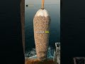 How did one teenager build the system cleaning the ocean?