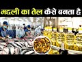 Factory में कैसे बनाते है मछली का तेल लाइव देखे। How Fish Oil Is Made | Fish Oil Making Process