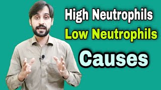 Neutrophil And Its Role in Body | High and Low Causes in Blood