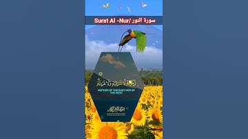 سورة النور //Surat Al -Nur