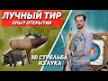 Опыт открытия лучного тира. 3д стрельба из лука. Интервью со стрелком из лука. Таргитай.