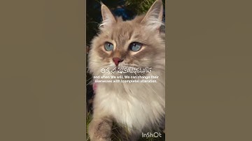 تلاوة رائعة لأواخر سورة الإنسان#القارئ_عثمان مشعل الحداد#اجر_لي_ولك #قرآن