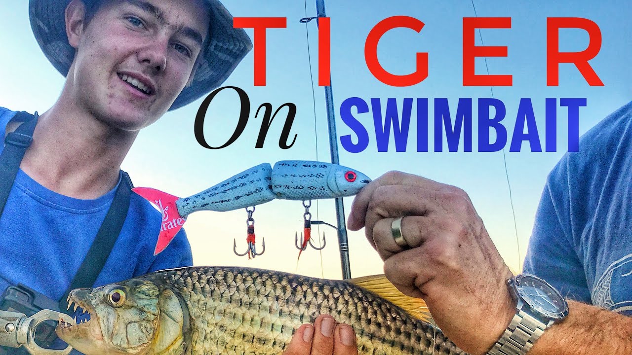 Catching Tiger Fish on a Tiger Fish SWIMBAIT!!! 