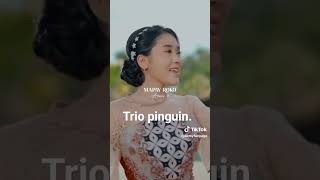 Trio kodok / Tirio pinguin ?