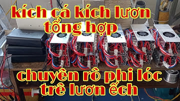 Kích cá kích lươn chuyên rô phi và tổng hợp các loại cá. LH 0974332393