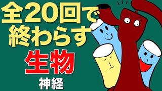 [11/20] 生物 〜神経〜　僕たち人間は、ちょっと複雑な冷蔵庫みたいなもん