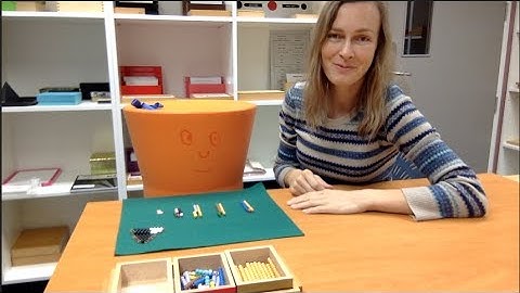 Montessori 3-6, The Golden Snake Addition