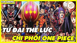 TỨ ĐẠI THẾ LỰC TRONG ONE PIECE | TIN TỨC ANIME OFFICIAL