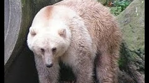 Raid defence on rustinity long          **RAW FOOTAGE**