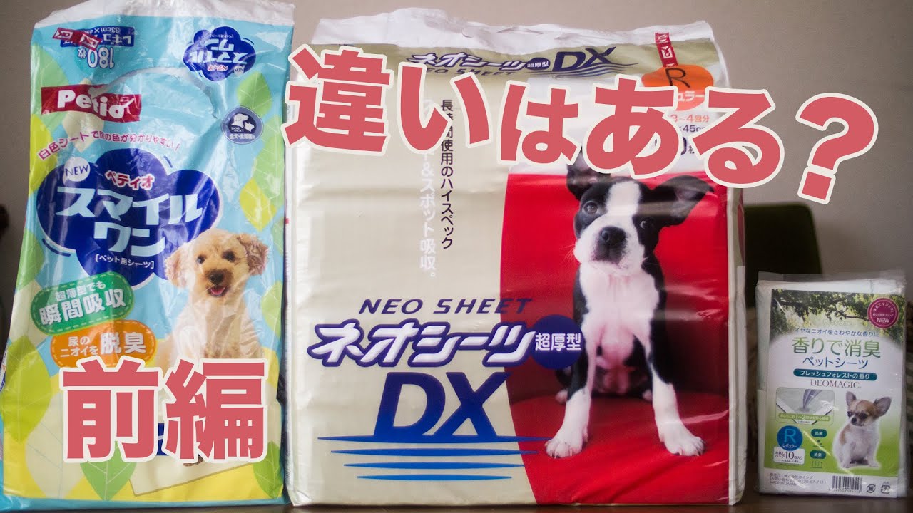 シート 犬 食べる トイレ