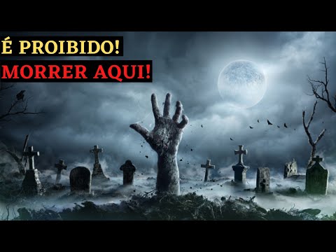 Vídeo: Como os destinos das estrelas dos filmes adultos se desenvolveram