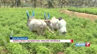 Curry leaves cultivation is dying business says farmers | News7 Tamil