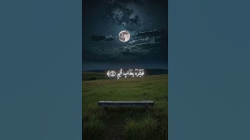 قرآن كريم بصوت القارئ محمد اللحيدان ||حالات قرآن كريم ||Quran status