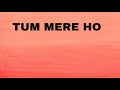 Tum Mere Ho Lyrical Video | Hate Story IV | Vivan Bhathena, Ihana Dhillon | Mithoon Jubin N Manoj M