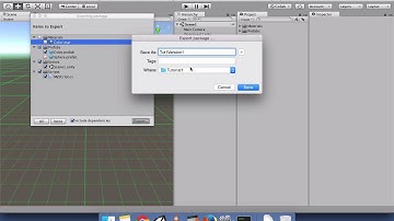 Unity How to Import Export Packages