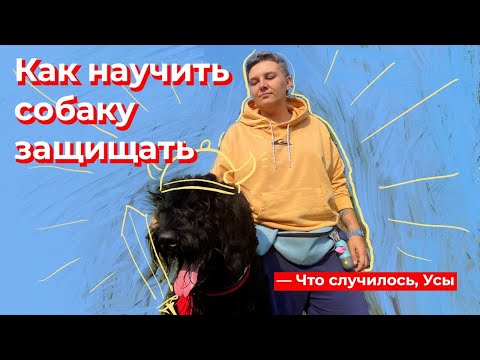 Видео: Какие виды лягушек - черные головастики?