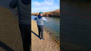 опғатор БАХА 2025 #fishing #сазаннакаждомзабросе #рыбалканаозере #рыбалка #балык #fish #carp #видео