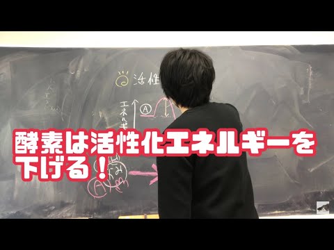 酵素と活性化エネルギー　高校生物　activation energy biology lecture