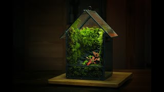 Creating a Mossy Landscape inside a Lantern