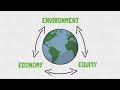 What is sustainability