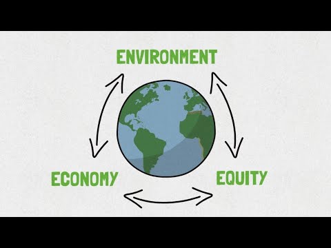 Video: Economic valuation of natural resources: concept, goals and basic principles