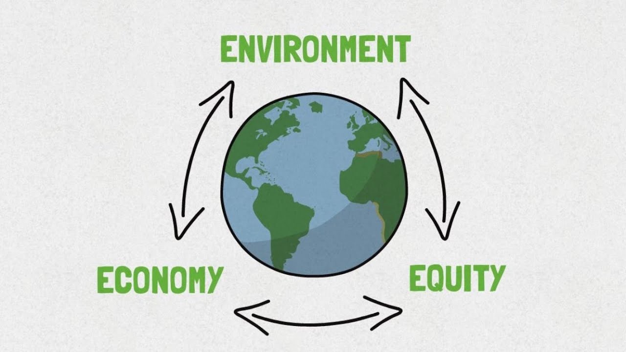 What is Sustainability