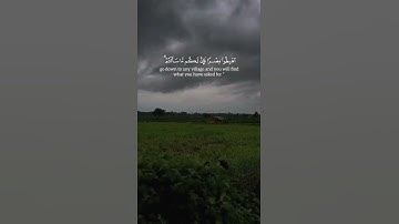 تلاوة الشيخ سعود الشريم