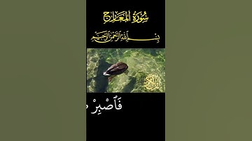 🎧 سورة المعارج قاري صالح مصلي 🎧| راحة نفسية| بصوت جميل| تلاوة جميلة| كل يوم سورة