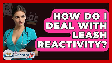 How Do I Deal With Leash Reactivity? - Ask A Pet Vet