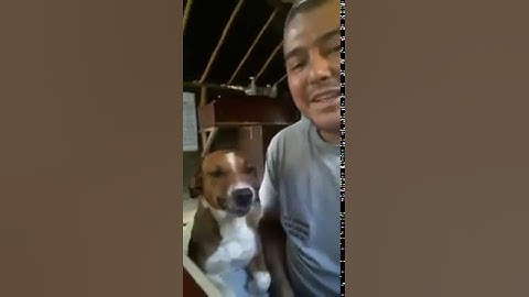 LA SONRISA DEL PERRO BOTI ...  JAJAJAJAJAJA