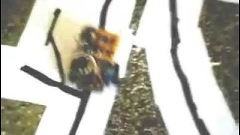 Line follower robot using logic gates - Trial1