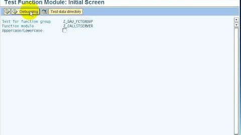 Call VW from SAP by RFC