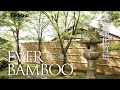 【タカショー】エバーバンブー