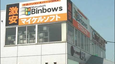 Michaelsoft Binbows