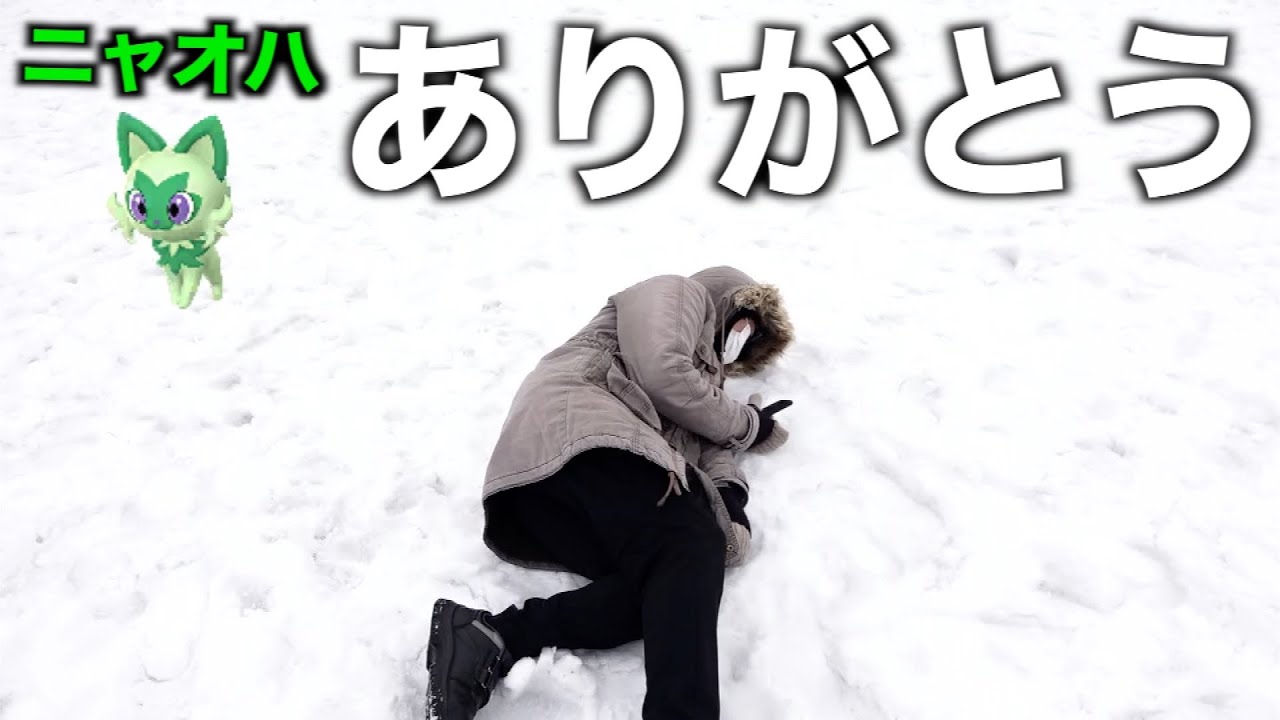 病み上がりのニャオハコミュニティデイが何だかとても気持ちいいんだ