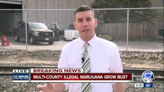 Thousands of plants seized in illegal marijuana grows