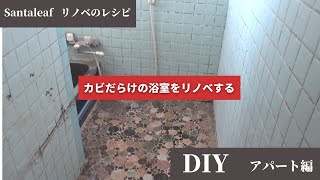 【DIY】カビだらけの浴室を安く清潔にリノベする