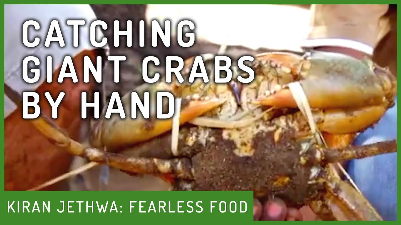 How To Catch Crabs By Hand, Fearless Food