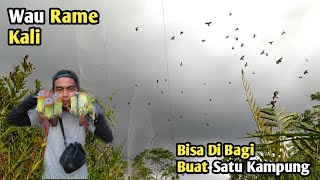 Menjaring Burung Punai !! Rame Kali Ada Satu Kampung